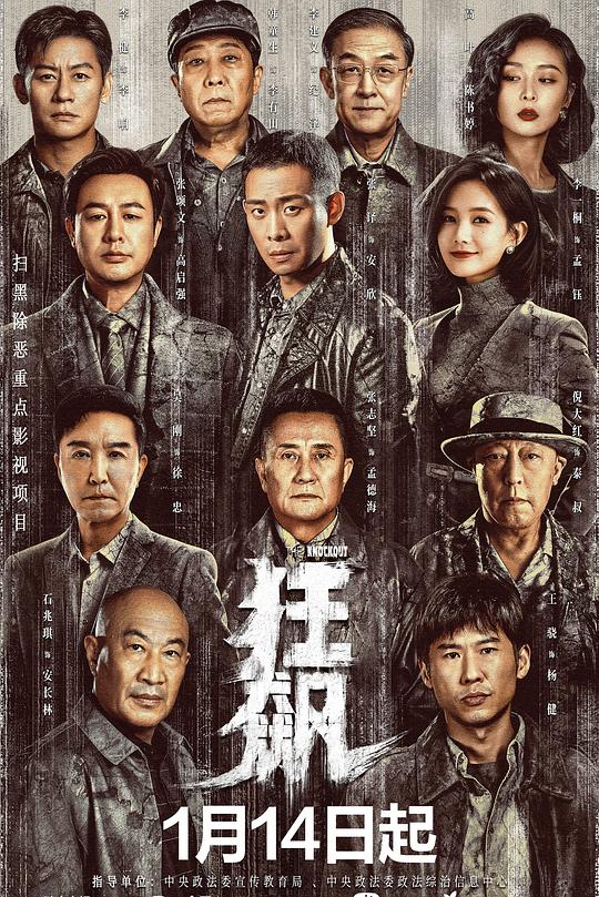 狂飙 剧集海报