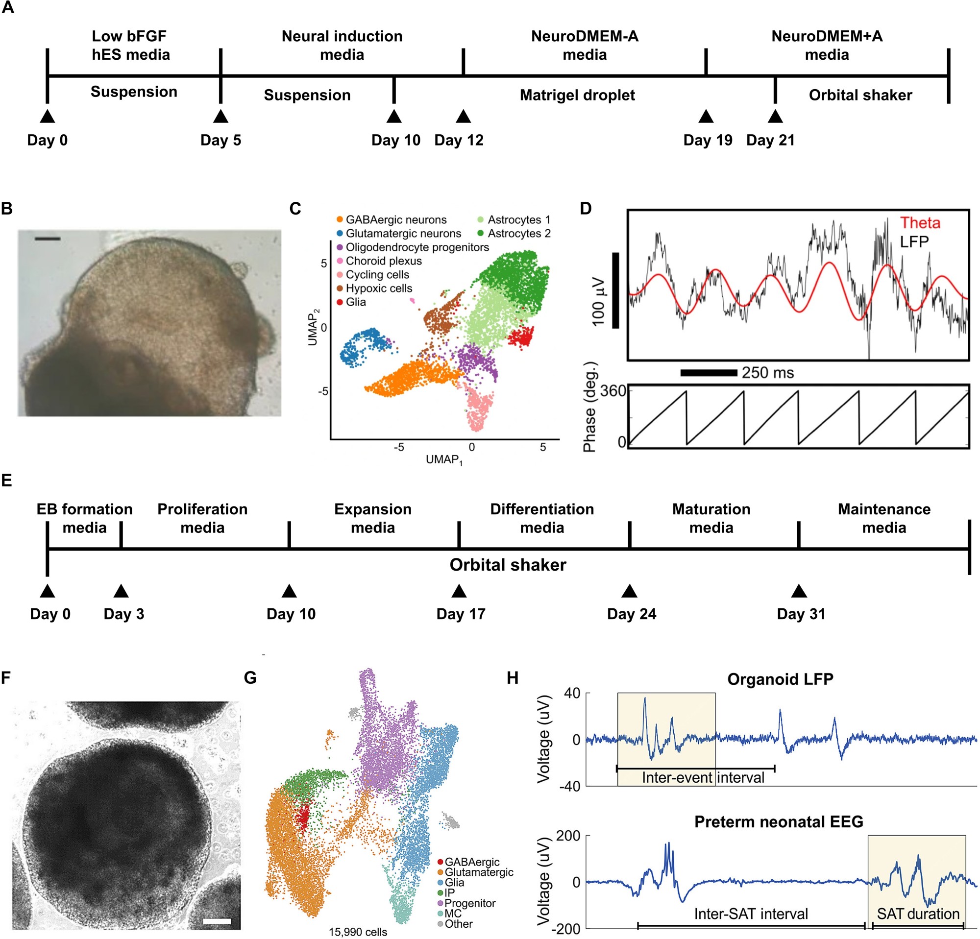 Figure 2 — Gu et al. (2024)
