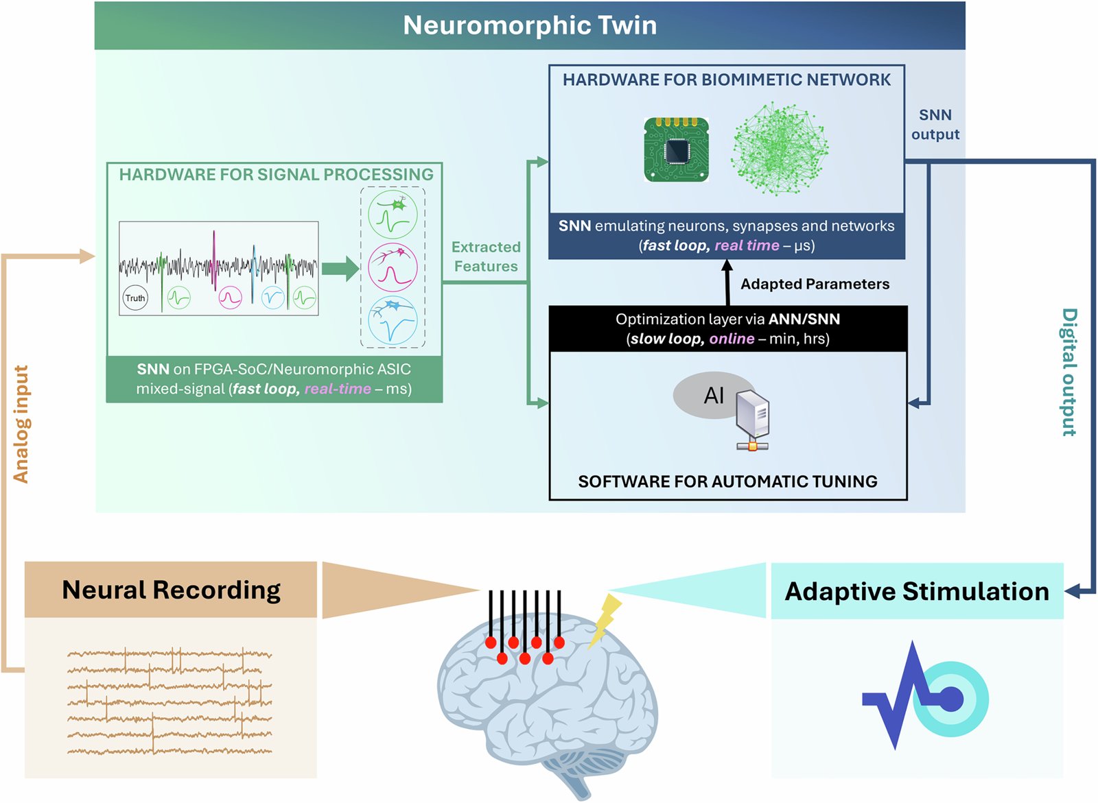 Figure 1: Neuromorphic Twin architecture