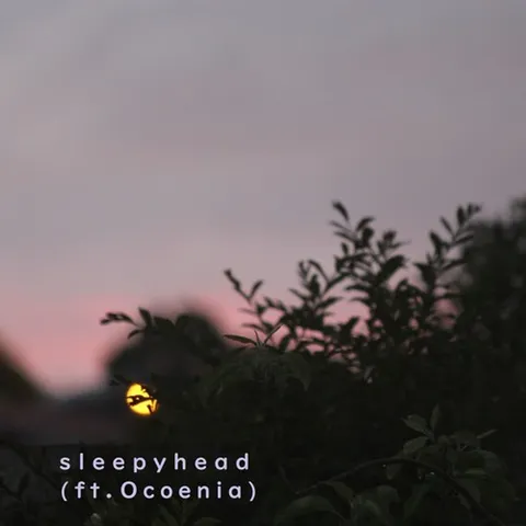 sleepyhead 专辑封面